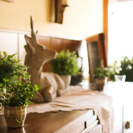 Xxl-ferienwohnung Blumenwiese